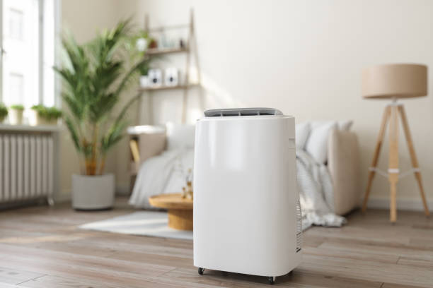 Best Seasonal HVAC Services in Roanoke, AL